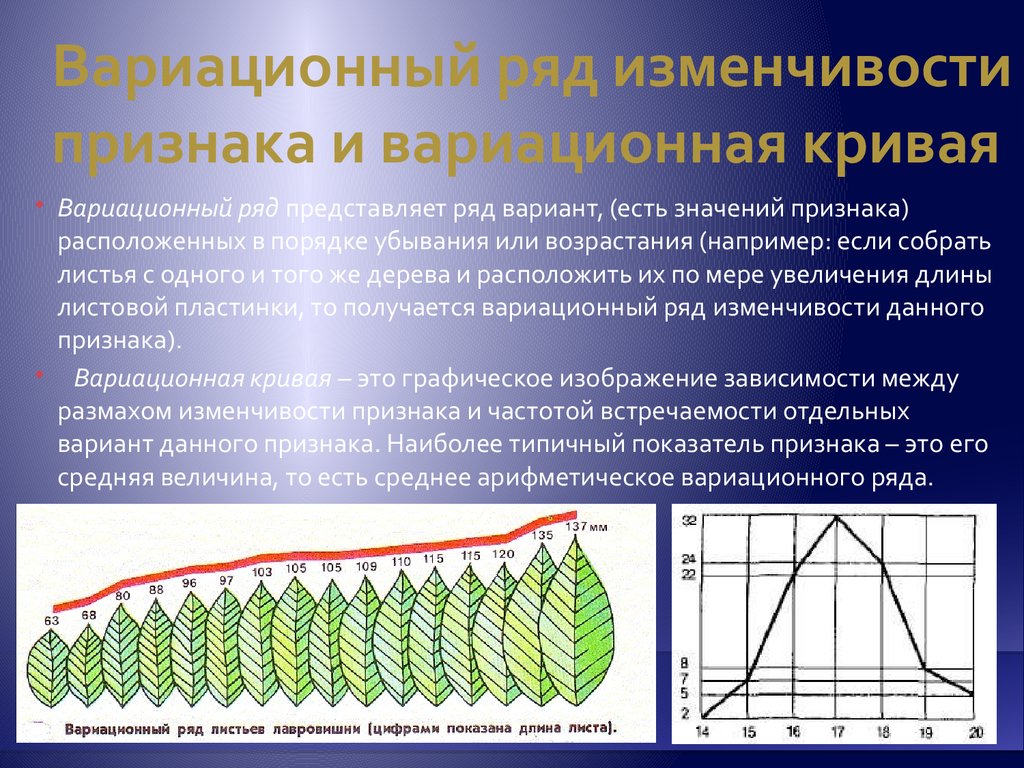 Вариационные ряды и их графическое изображение презентация