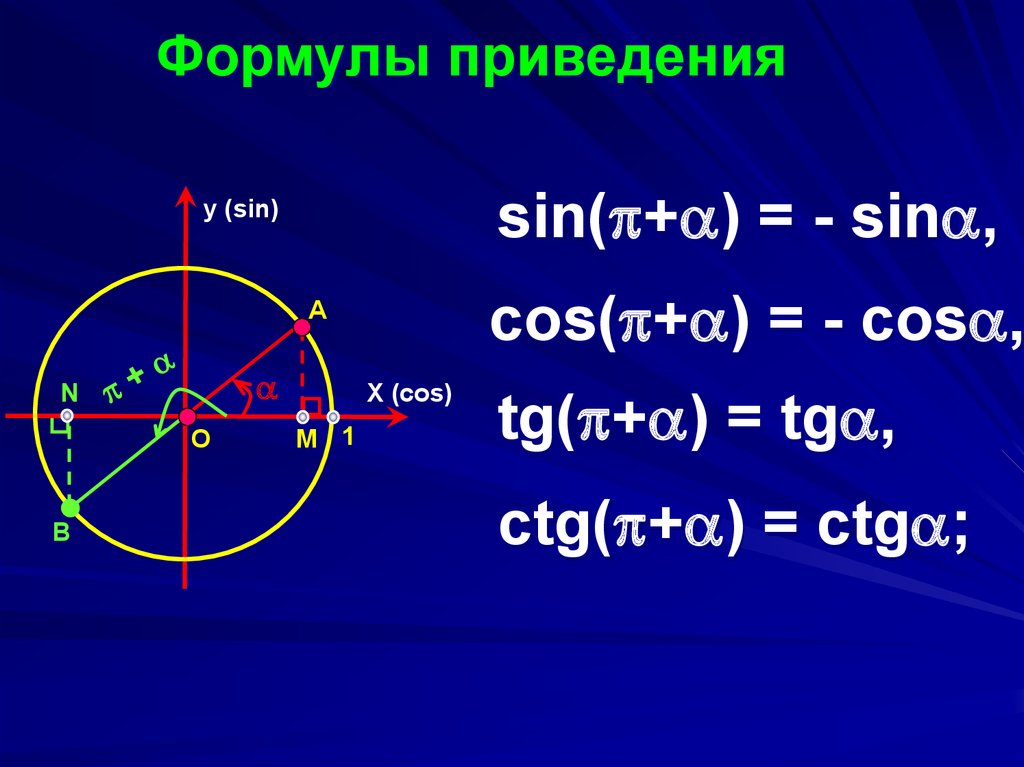 Формула функции sin. Кружки sin cos TG CTG. Формулы тригонометрии 1 + cos. Тригонометрические формулы приведения TG 1-. Синус Альфа формула тригонометрия.