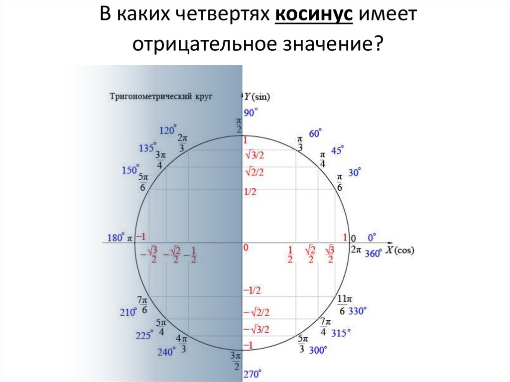 Синус круговая диаграмма