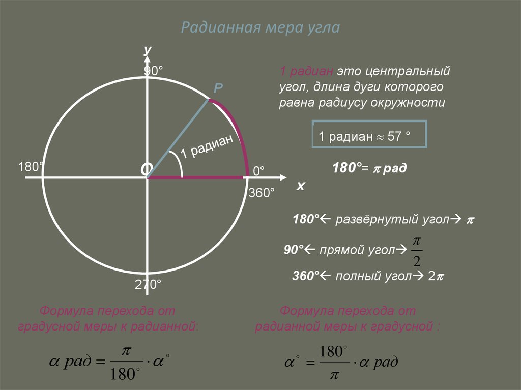 Почему в окружности 360 градусов проект 5 класс по математике