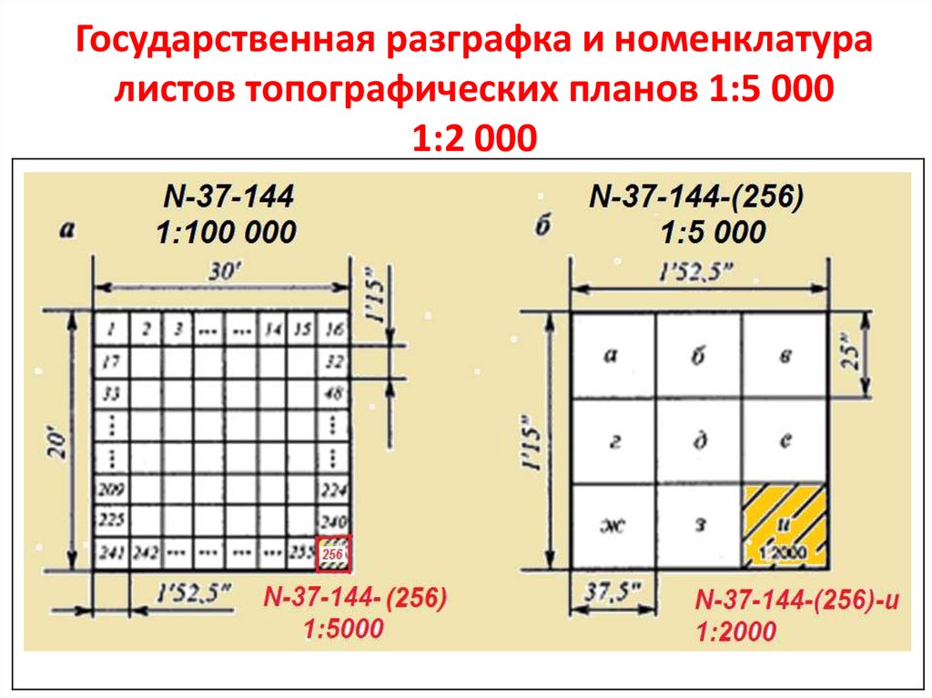 На рисунке изображен план местности шаг сетки