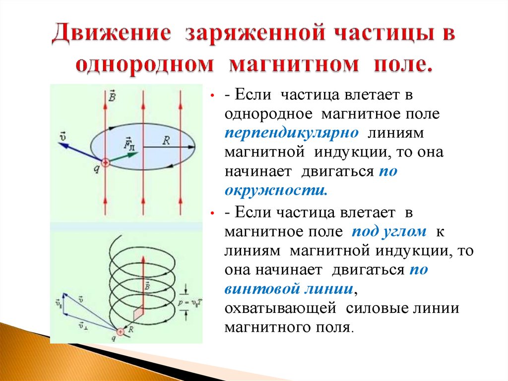 Магнитный момент кругового тока изображенного на рисунке направлен