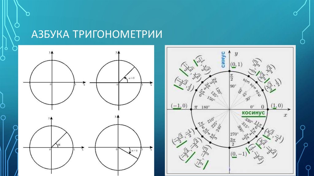 Косинус на плоскости. Тригонометрическая окружность косинус. Положительные и отрицательные синусы и косинусы на окружности. Числовая окружность на координатной плоскости синус и косинус. Изображение косинуса на тригонометрической окружности.