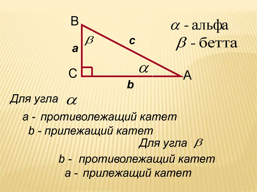 Прилежащий катет и противолежащий на рисунке