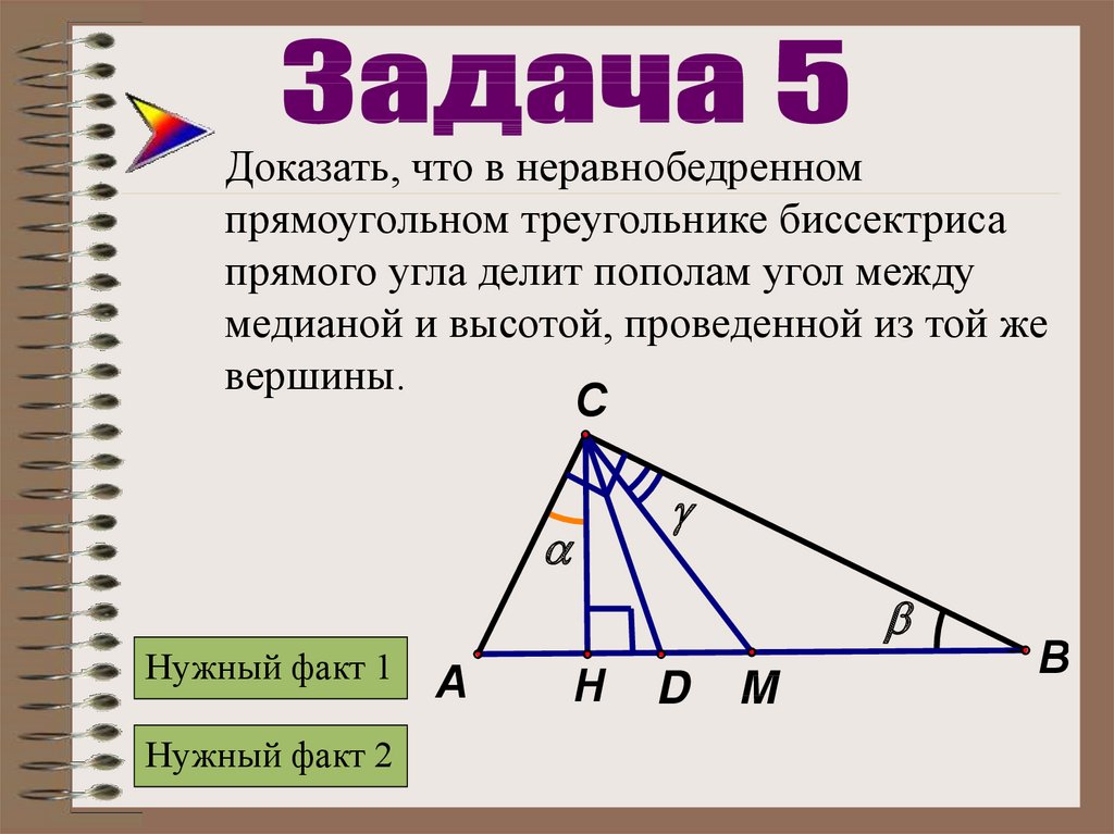 Любая биссектриса треугольника делит его пополам. Медиана и биссектриса в прямоугольном треугольнике. Прямоугольный треугольник Медиана биссектриса и высота. Медиана биссектриса и высота треугольника. Угол между медианой и высотой.
