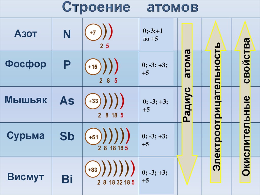 Укажите схему соответствующую распределению электронов по энергетическим уровням в мышьяке