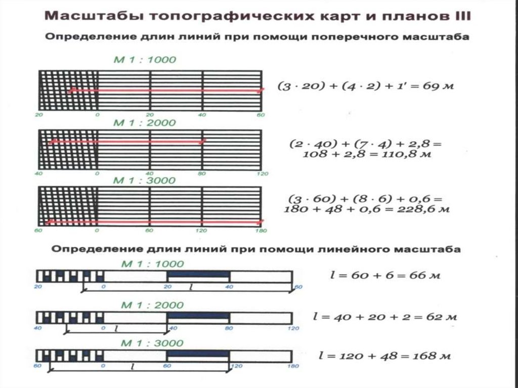 Длина линии вдоль. Линейный масштаб 1:2000. Поперечный масштаб в геодезии 1 1000. Поперечный масштаб в геодезии 1:2000. Поперечный масштаб в геодезии 1 5000.