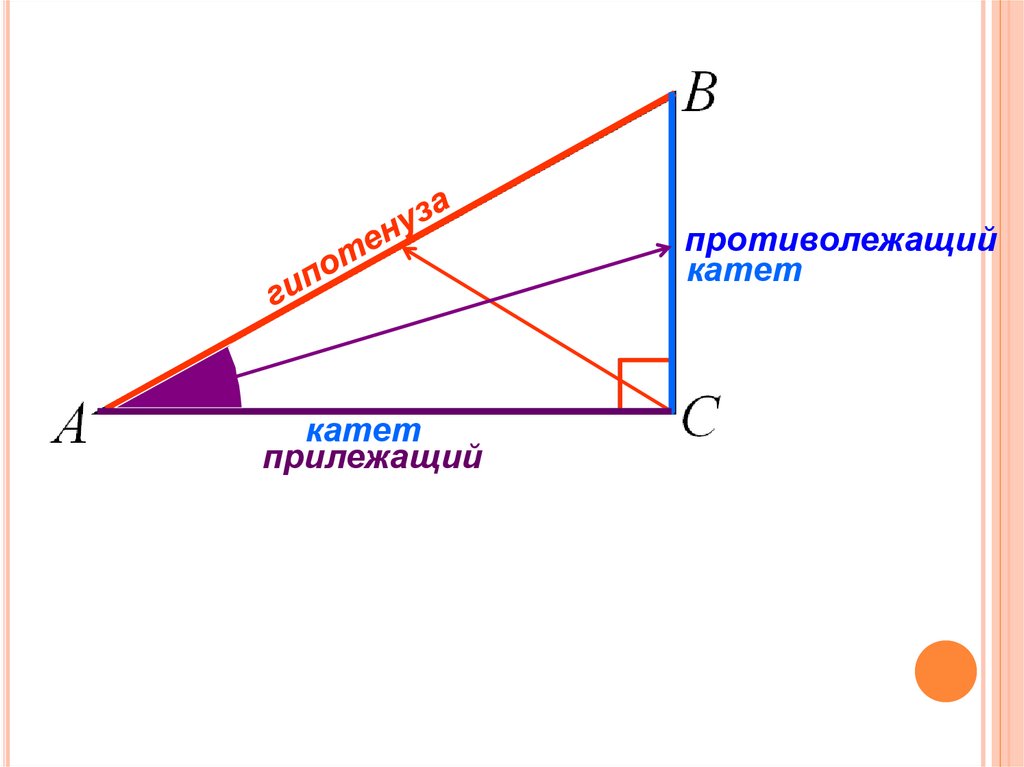 Прилежащий катет и противолежащий на рисунке