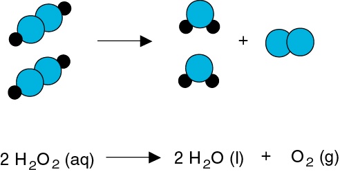 Co2 h2o реакция обмена. 2h o2 2h2o. H2o2 схема. H2o+h2o. 2н2о2 2h2o+o2.