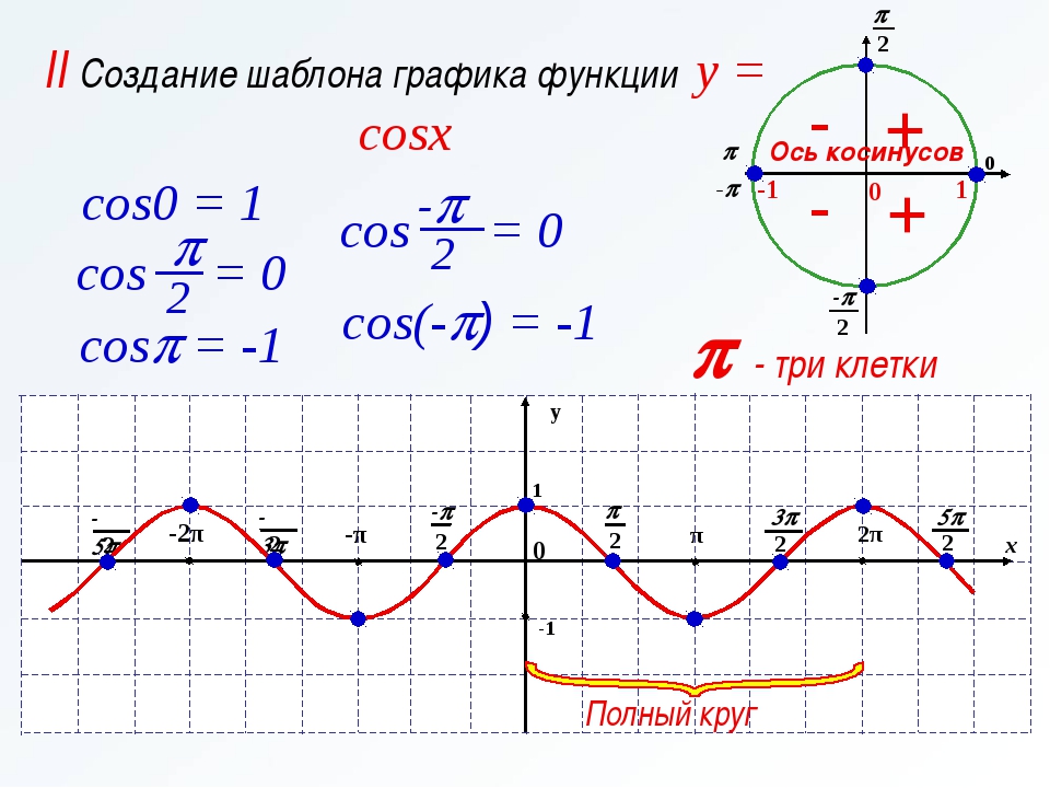 Y cos на отрезке π π. График тригонометрической функции косинус х. Построение функции косинуса. График функции cos. Функция Кокосинус график.