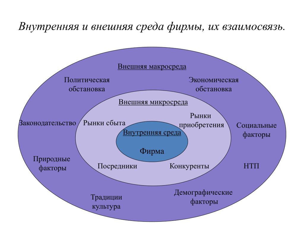 Образцы и правила политического поведения которые определяют как можно и как следует поступать