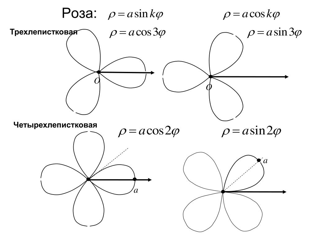 Рисунки в полярных координатах