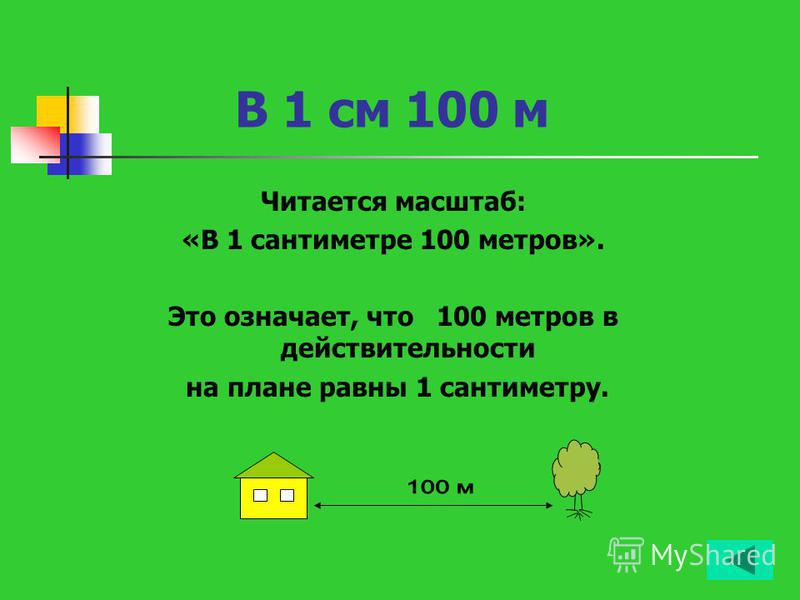 1 100 масштаб фото