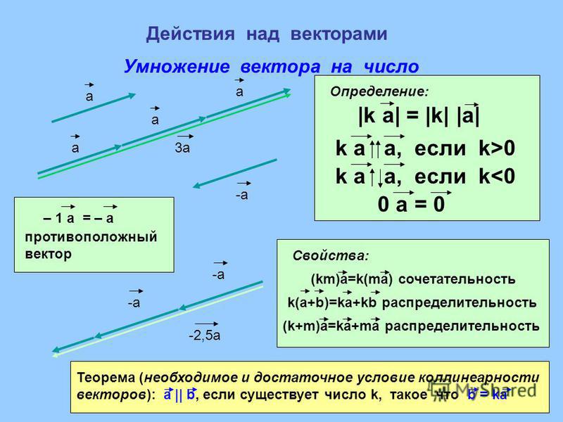 Умножение вектора на число 8 класс презентация атанасян