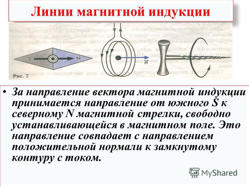 За направление магнитной стрелки принято. Вектор магнитной индукции линии магнитной индукции. Магнитная стрелка направление индукции. Определите направление вектора магнитной индукции.