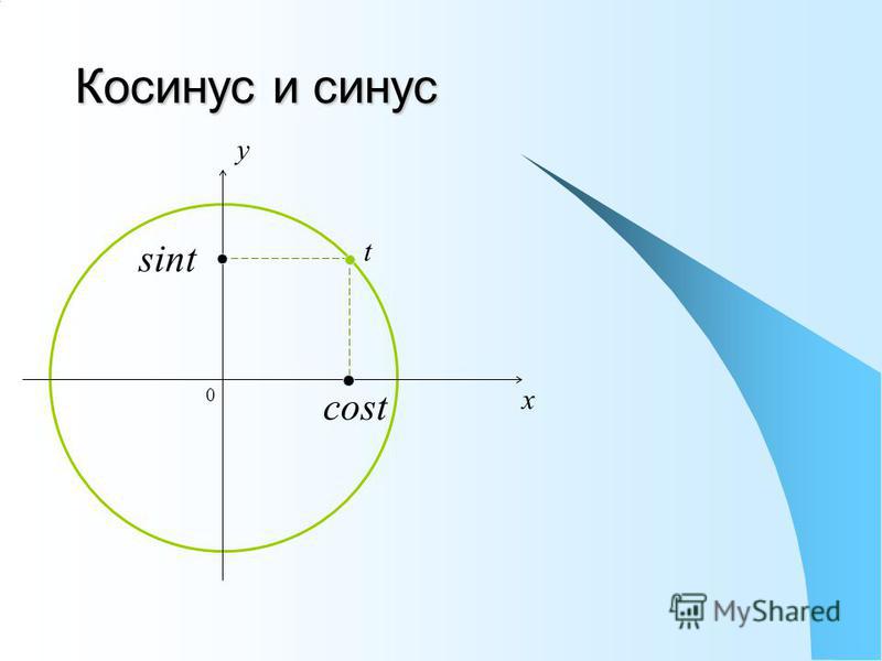 Синус область