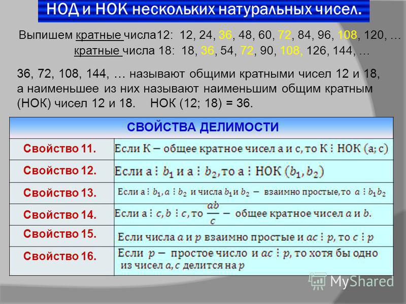 Делители числа информатика