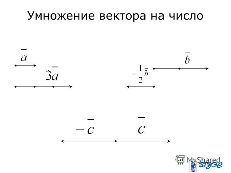 Умножение вектора на число 9 класс презентация мерзляк