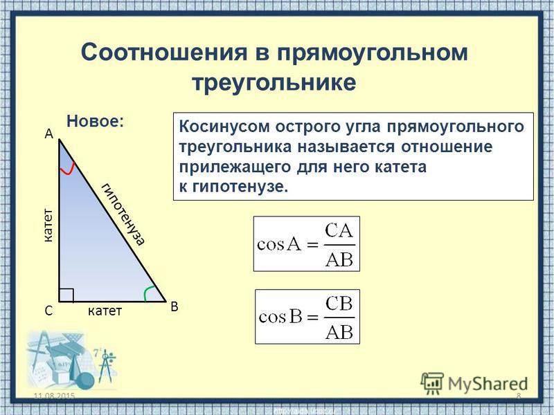 Гипотенуза и катет рисунок