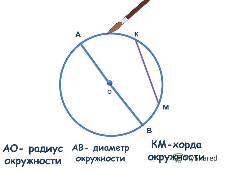 Проведите радиус и диаметр. Радиус и диаметр. Радиус от диаметра. Радиус и диаметр разница. Чем отличается радиус от диаметра.