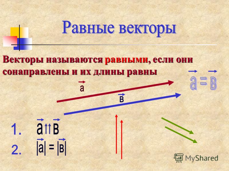 Какие называются равными