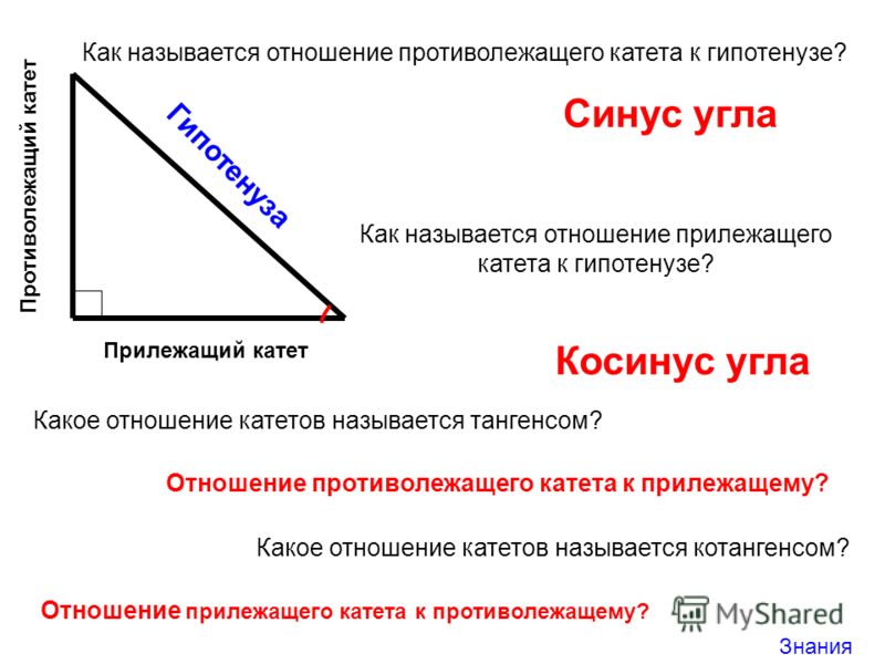 Может ли гипотенуза быть равна катету. Синус это прилежащий катет к гипотенузе.