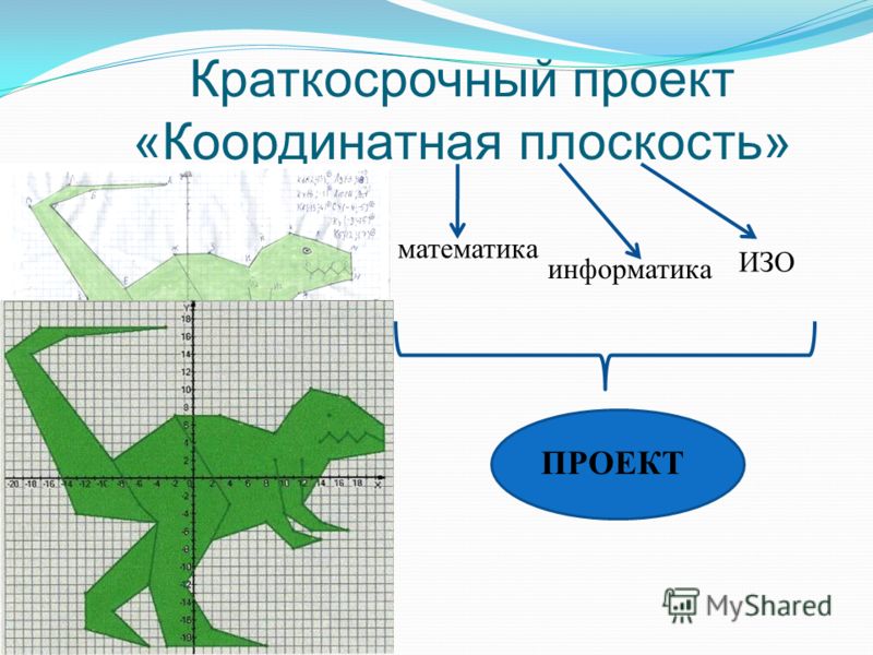 Элементы координатной плоскости