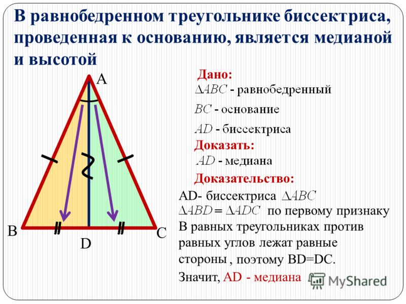 Медиана в равнобедренном треугольнике равна половине основания высшее филологическое образование