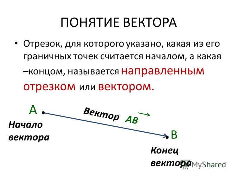 Котором указать кому из. Понятие вектора. Понятие вектора в физике.