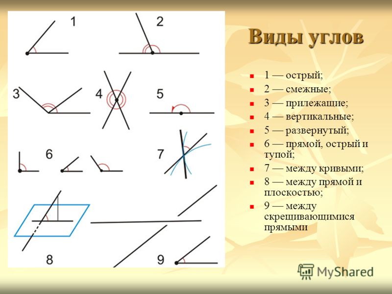 Прямые углы не существуют. Типы углов в геометрии 7 класс. Название углов в геометрии 7 класс. Виды углов 7 класс. Вилв углов в геометрии.