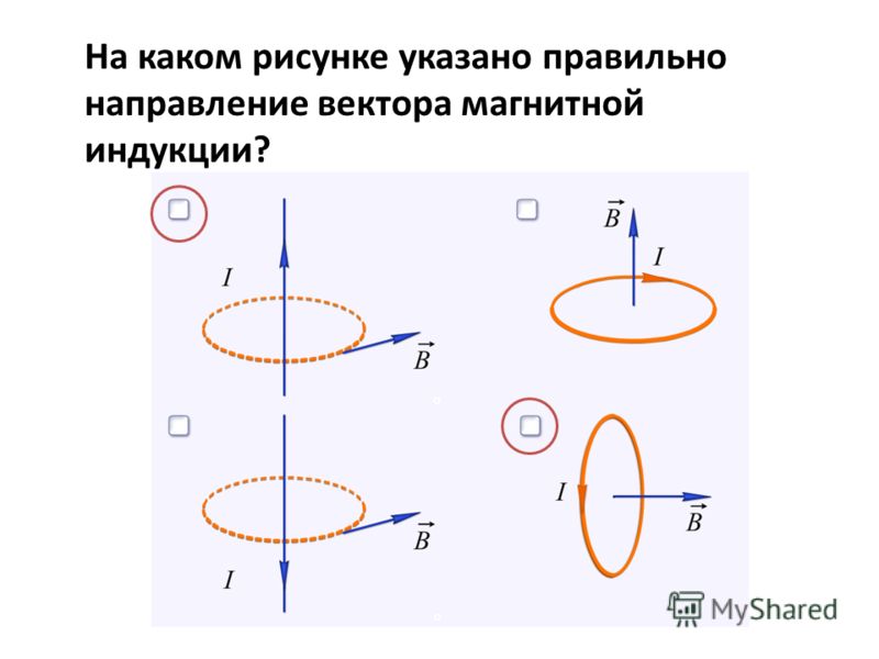 Определить направление по рисунку. Направление вектора магнитной индукции на рисунке. Направление тока и вектора магнитной индукции. Направление вектора магнитной индукции на примере проводника с током. Определите направление вектора магнитной индукции по рис. 1.