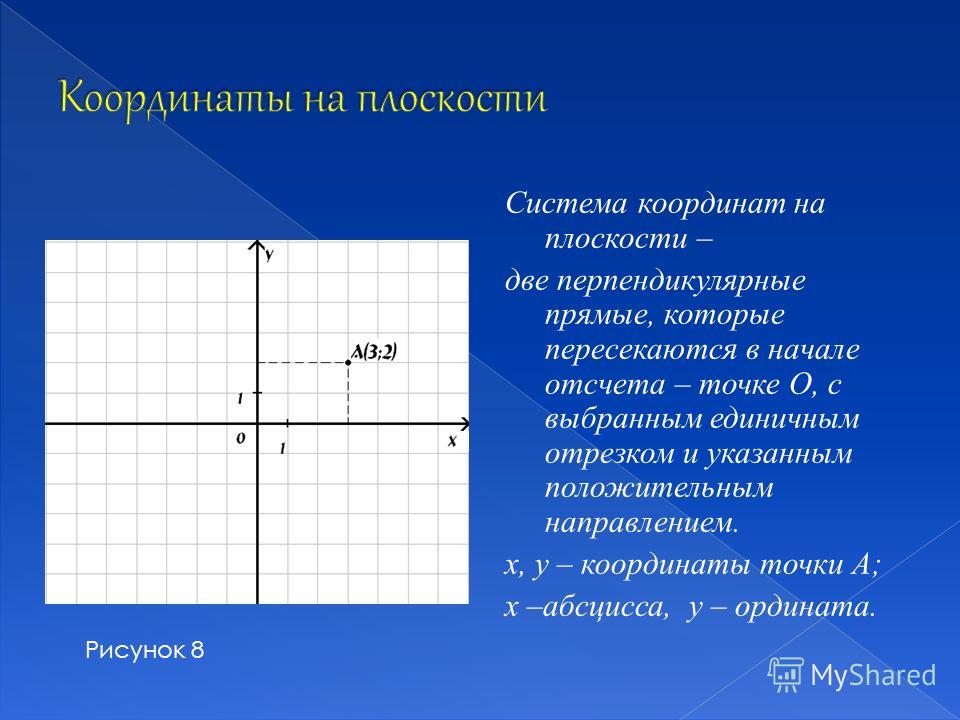 Изображение чего либо на плоскости 9 букв