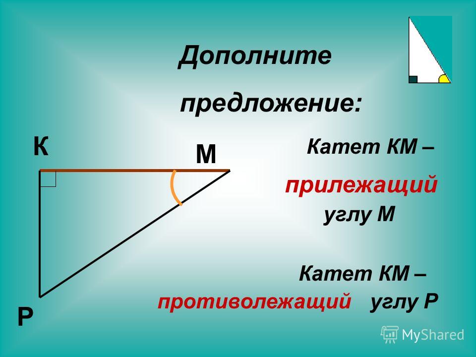 Прямоугольный треугольник прилежащий