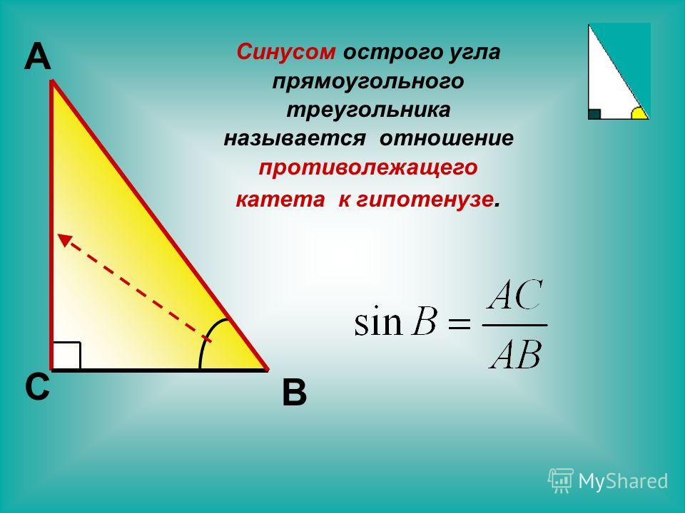 Косинус острого угла прямоугольного треугольника это отношение. Синус косинус тангенс в прямоугольном треугольнике. Острый угол прямоугольного треугольника. Углы в прямоугольном треугольнике. Синус острого угла прямоугольного треугольника всегда меньше