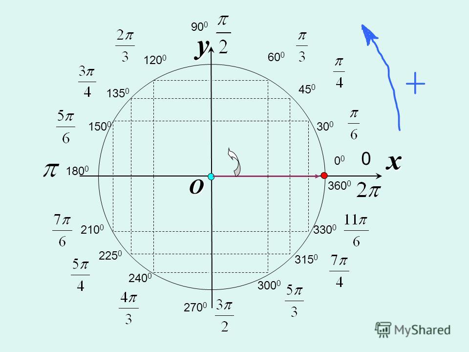 Точки тригонометрического круга. Тригонометрическая окружность -2pi. 1/2 На тригонометрическом круге. Единичная окружность синус. -30 Градусов на единичной окружности.