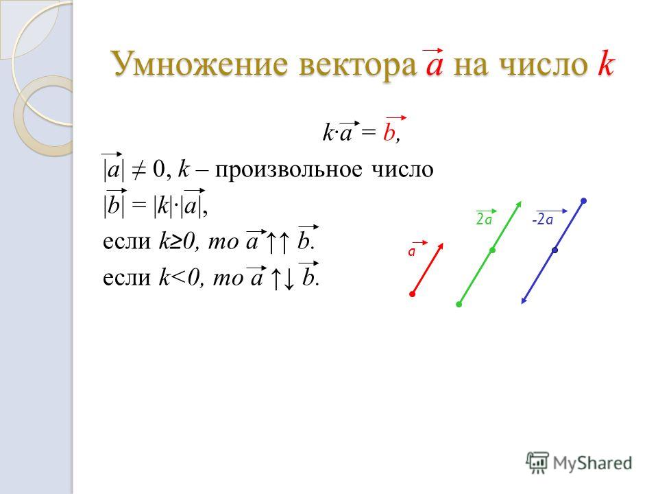 Вектор умножить на вектор