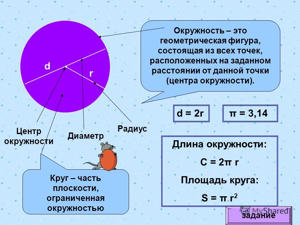 Диаметр круга это