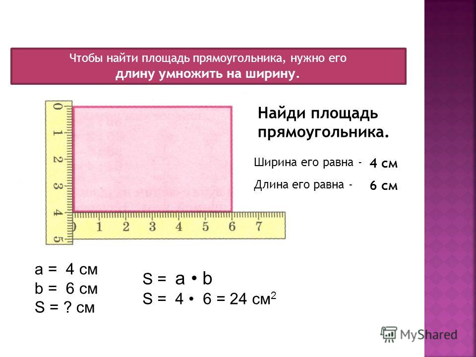 Найдите площадь прямоугольника ширина