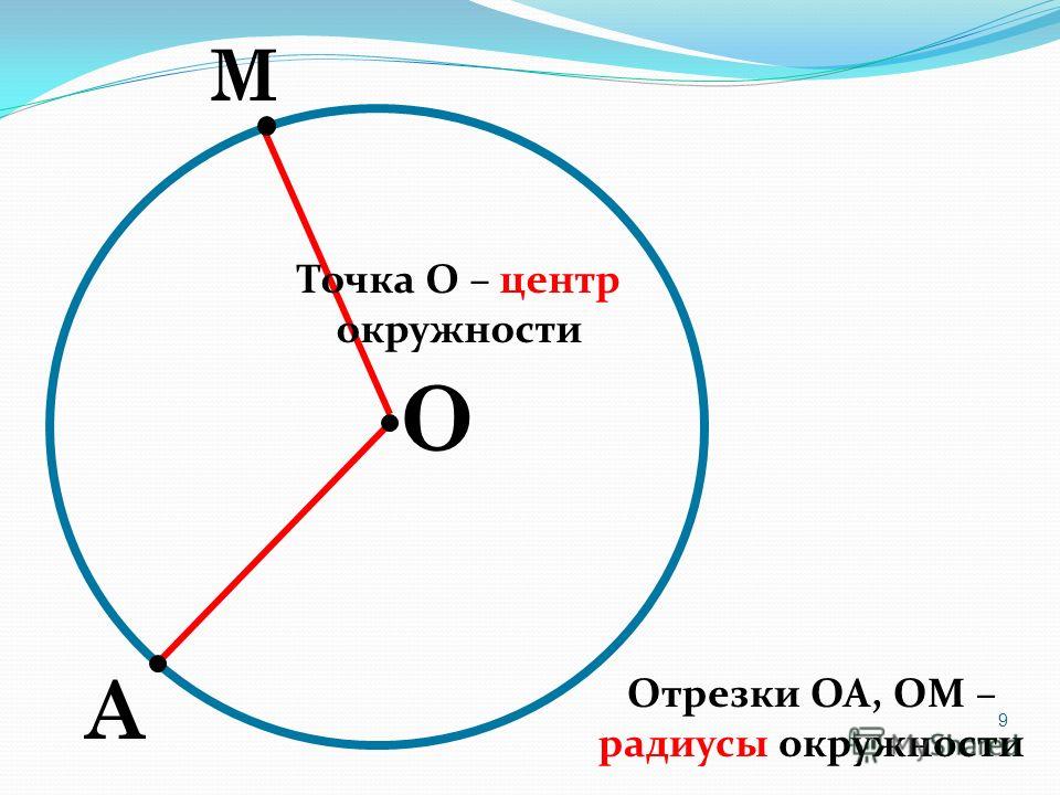 Радиус диаметр мм. Центр окружности. Отрезки в окружности. Радиус окружности. Центр и радиус окружности.