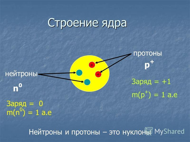 Дайте характеристику протонов нейтронов и электронов по следующему плану а обозначение частицы