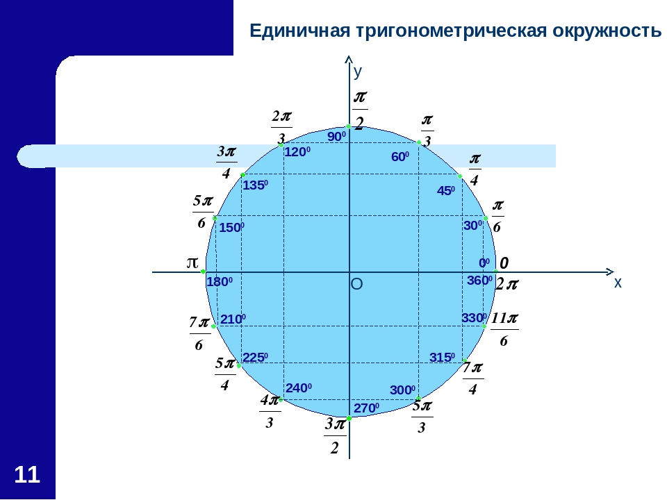 Точки тригонометрического круга. Тригонометрические функции числовая окружность 10 класс. 10 Класс числовая окружность тригонометрический круг. Числовая окружность тригонометрия 10 класс. Числовая окружность макет 1 и 2.