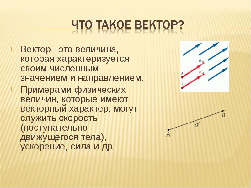 Вектор определение обозначение рисунок