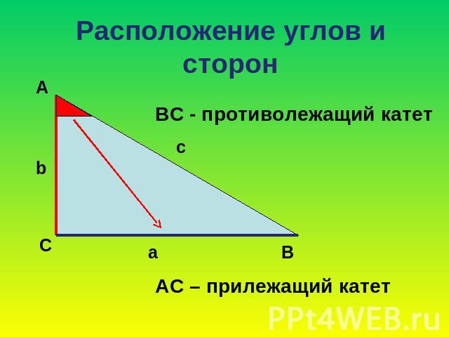 Прилежащий катет и противолежащий на рисунке