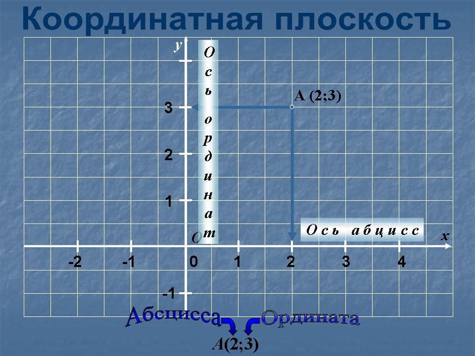 Линия координатной плоскости