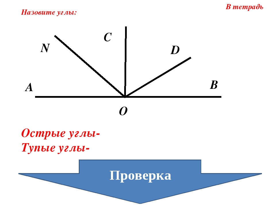 Неразвернутый угол это. Неразвернутый угол. Не развернутый угол. Тупой угол фото. Не развернутые углы.