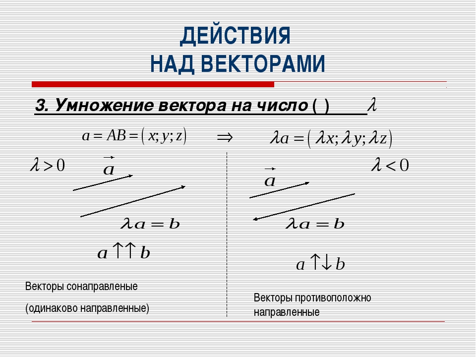 Сложение и умножение векторов. Умножение вектора на число геометрически. Понятие вектора.действия над векторами в пространстве. Действия над векторами в координатах. Действия над векторами умножение вектора на число.