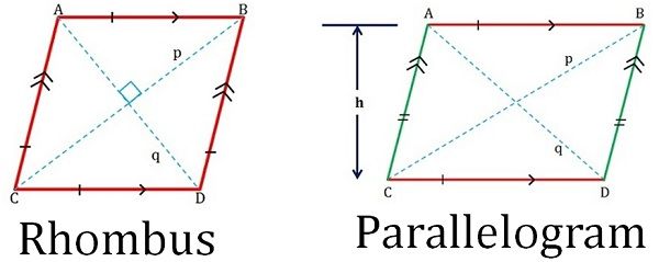 rhombus vs parallelogram