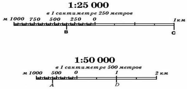 Определить линейный масштаб фотографии спутника